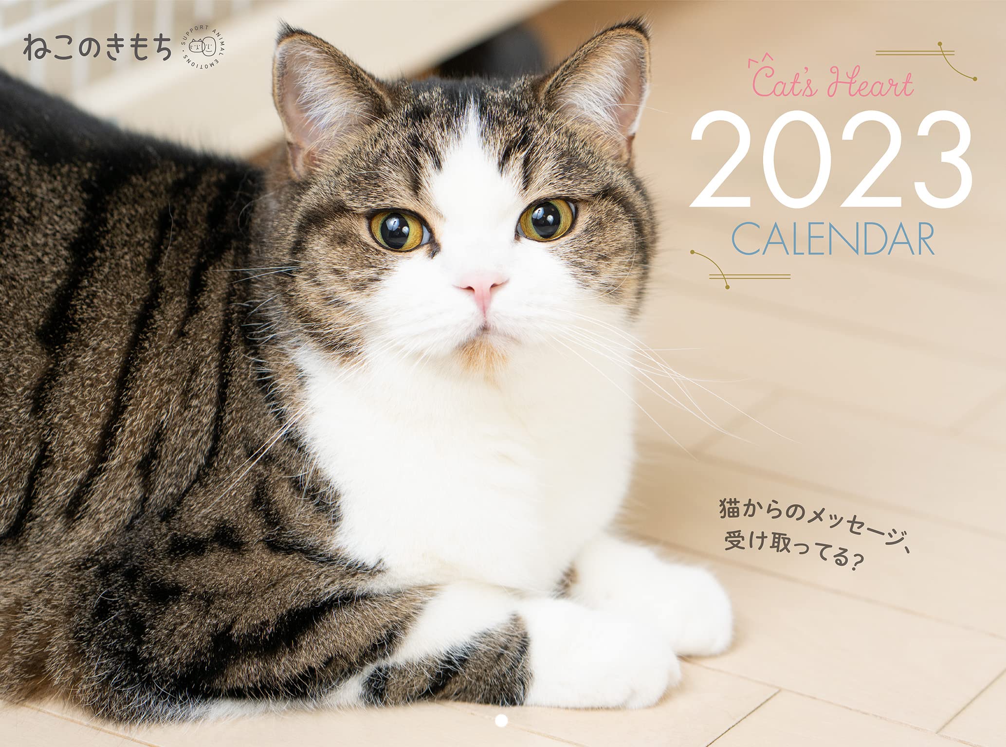 見ているだけで癒される「2023年の猫カレンダー」おすすめ6選＆AmazonランキングTOP10！ 壁掛けタイプから、週めくりの卓上タイプまで【2022 年11月】（1/3） | ねとらぼ調査隊