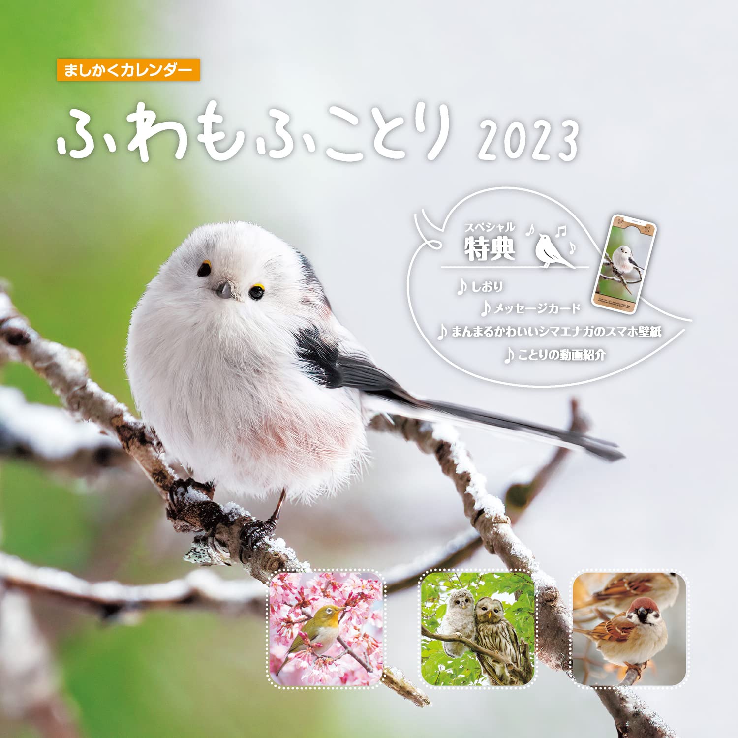 鳥好きにはたまらない「2023年の鳥カレンダー」おすすめ6選＆Amazon