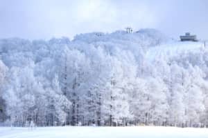 「雪景色」がきれいだと思う都道府県ランキング！　第1位は「北海道」【2023年最新投票結果】