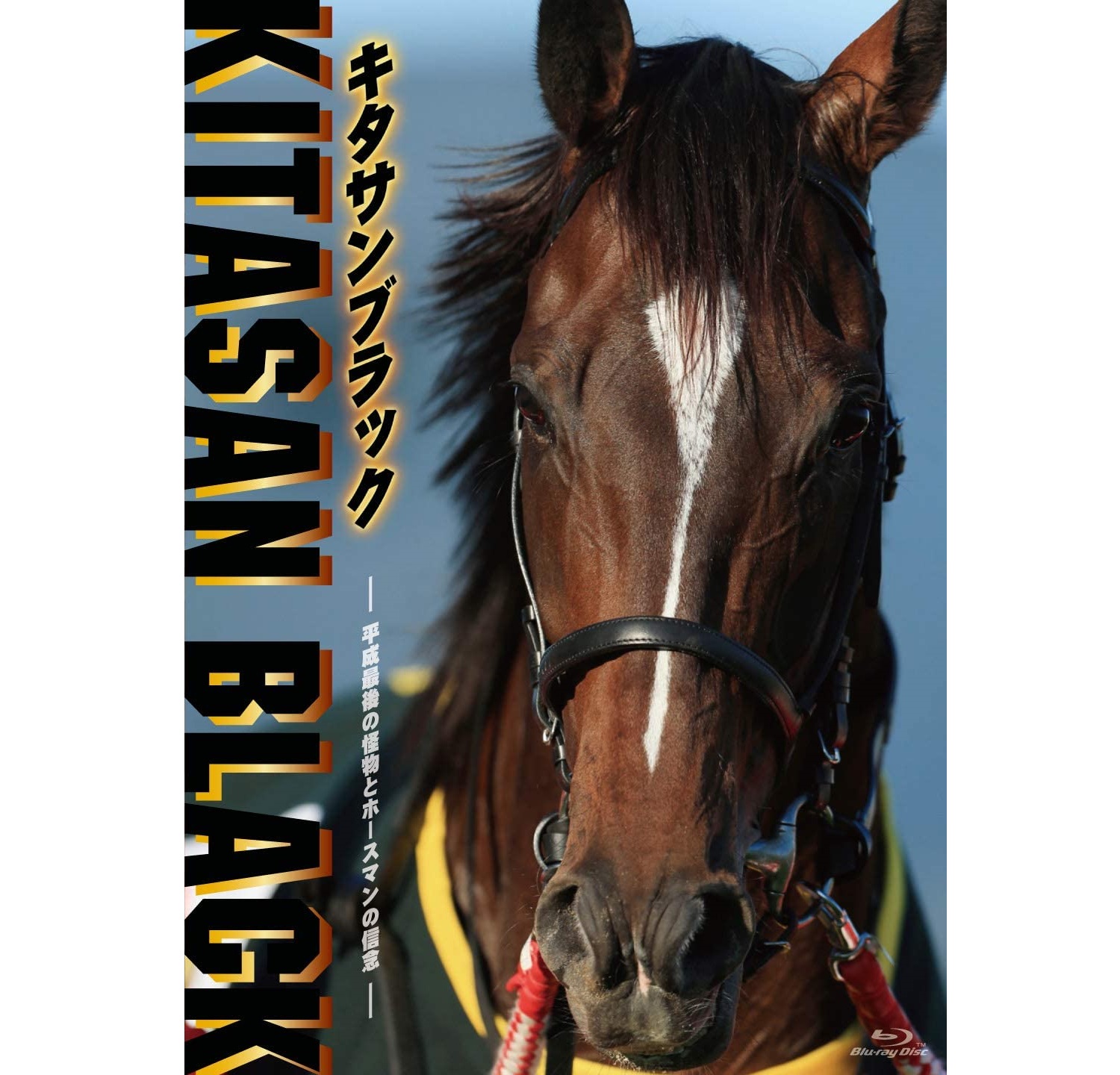 競馬】「大阪杯（産経大阪杯）」の歴代優勝馬で好きな馬は？【2023年版