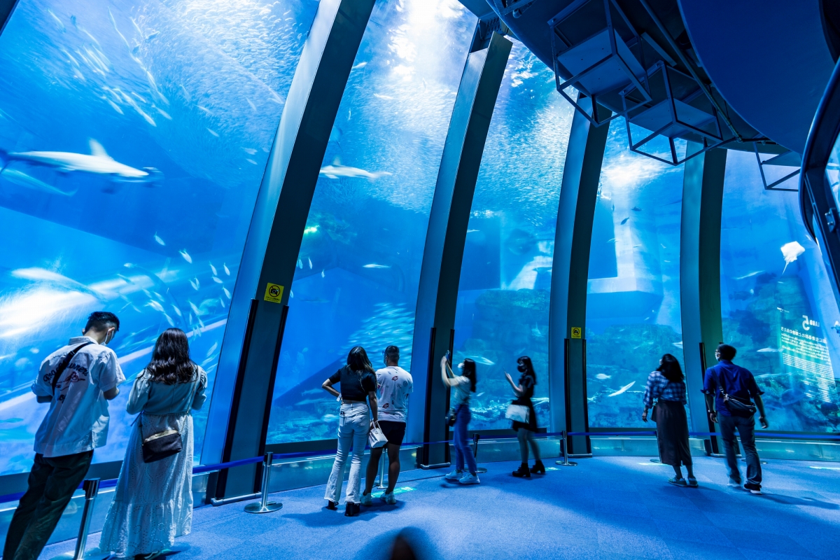 【水族館】あなたが好きな「水族館」はどこ？【2023年版・人気投票実施中】 | ライフ ねとらぼ調査隊