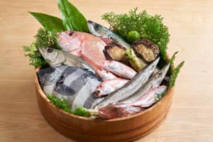 魚介類がおいしいと思う「県庁所在地」ランキングTOP30！　1位は「新潟市」【2023年最新投票結果】
