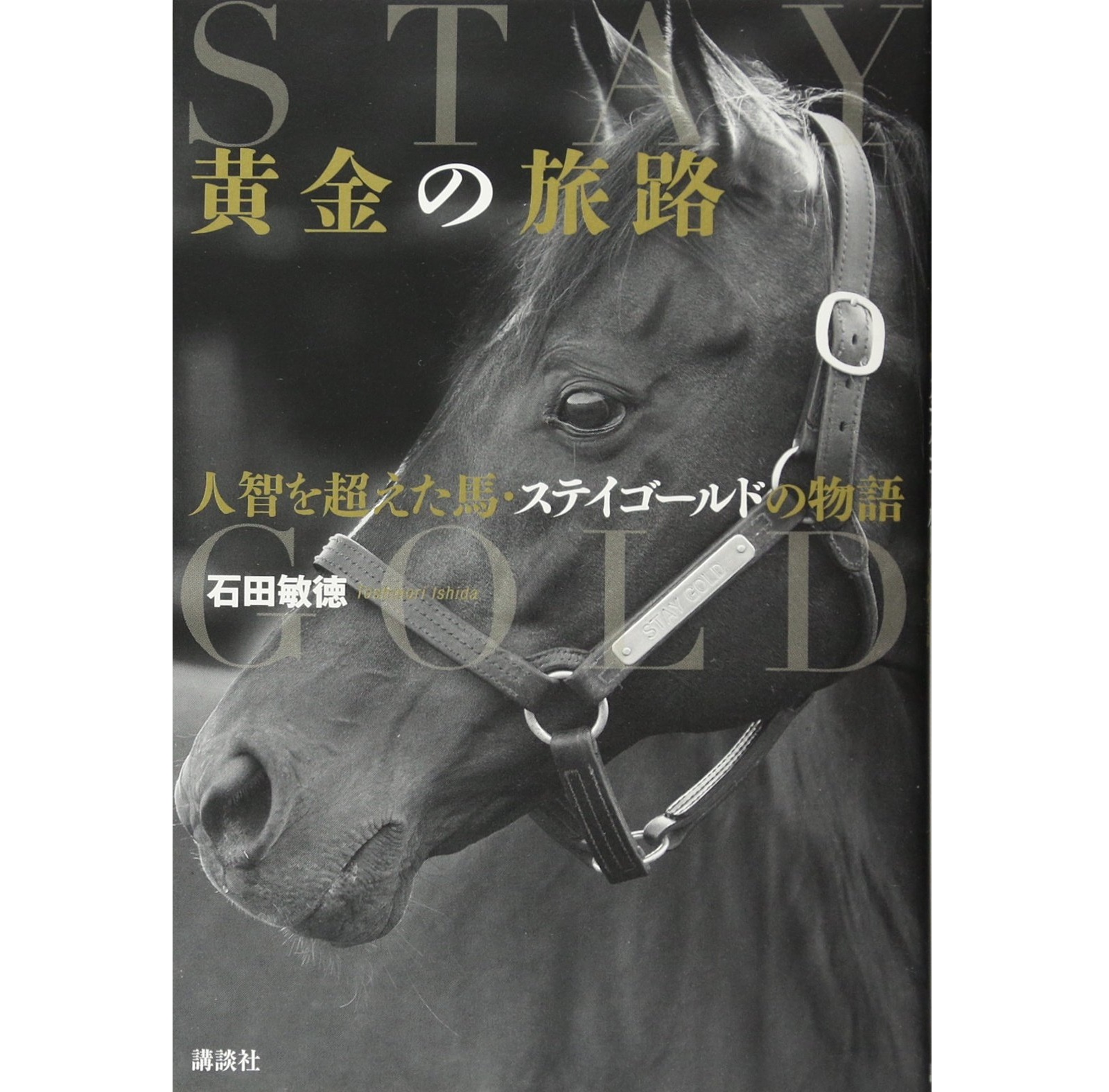 競馬】「シルバーコレクター」であなたが好きな競走馬は？【2023年版・人気投票実施中】 | スポーツ ねとらぼリサーチ