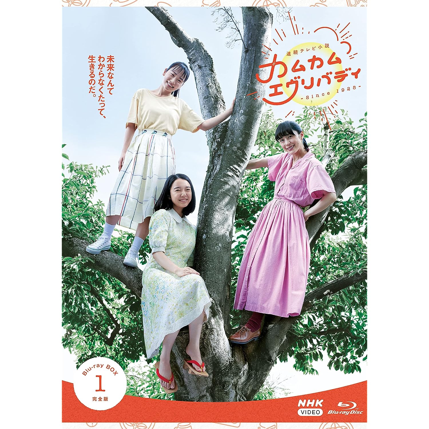 連続テレビ小説 わろてんか 完全版 ブルーレイ BOX1 [Blu-ray]-