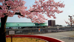 美しいと思う「茨城県の地名」ランキングTOP29！　第1位は「日立市」【2023年最新投票結果】