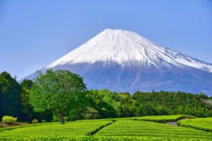美しいと思う「静岡県の地名」ランキングTOP30！　第1位は「富士市」【2023年最新投票結果】