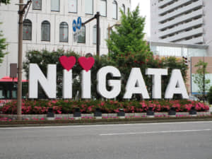 ナンバープレートにしたらかっこいいと思う「新潟県の地名」ランキングTOP27！　第1位は「聖籠」【2023年最新投票結果】