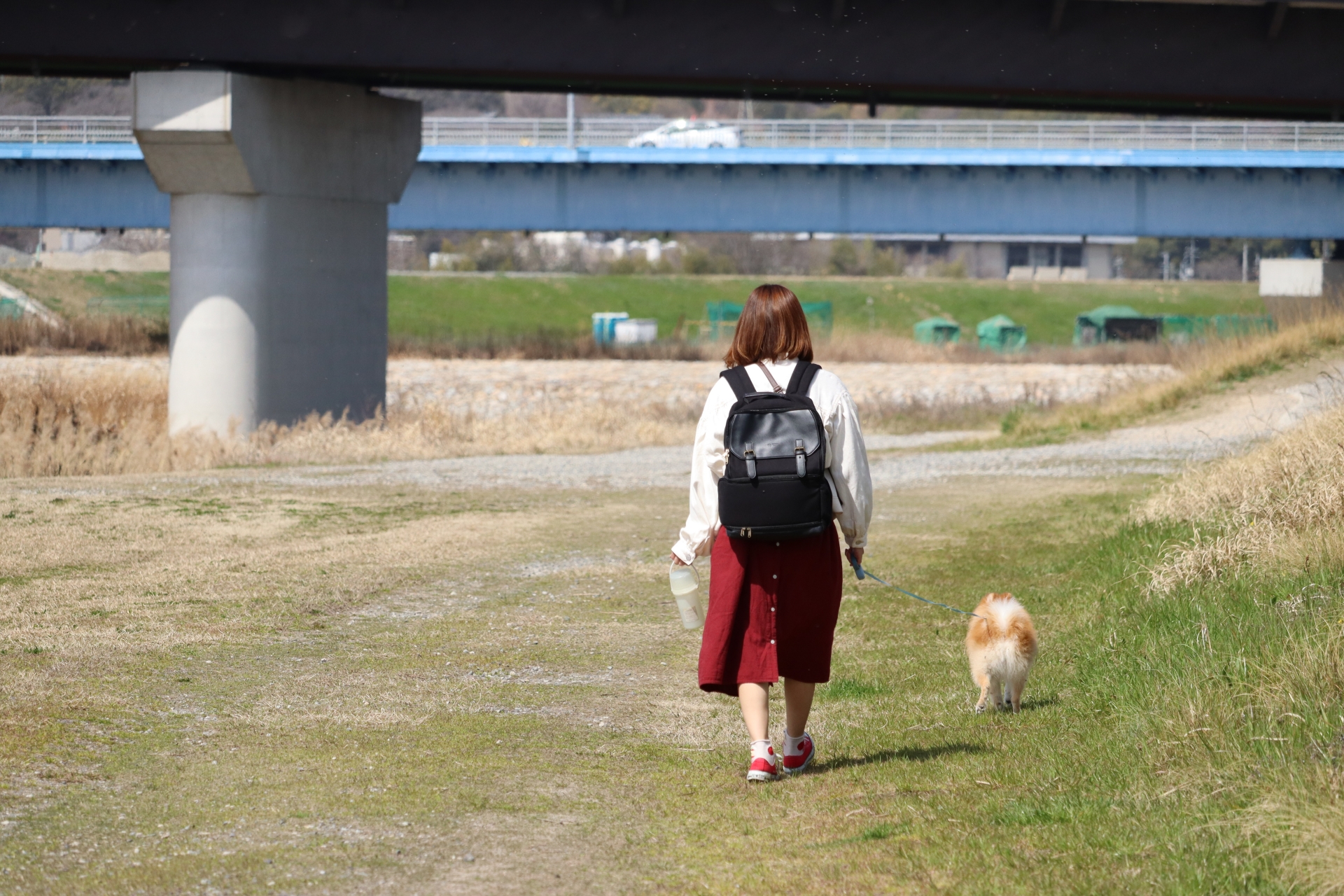 「東京23区」の中で「散歩するのが楽しい」と思う区はどこ？　3つの区を紹介！ | 人気スポット ねとらぼ調査隊
