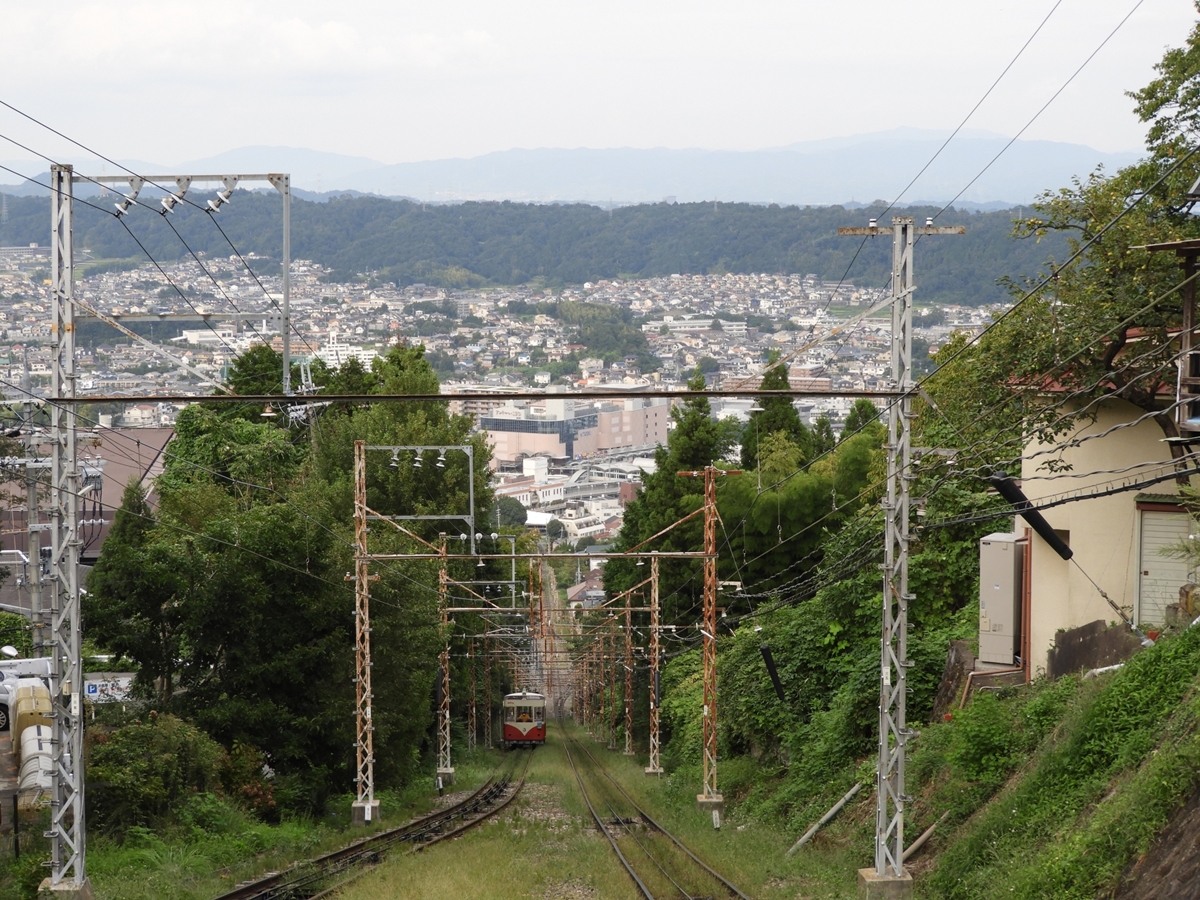 あなたが永住したいと思う「奈良県」の街は？　3つの自治体を紹介 | 住まい ねとらぼ調査隊