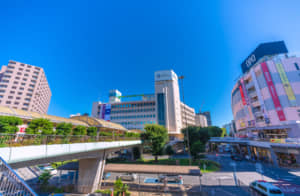 【30代以下が選ぶ】永住したい「神奈川県の街」ランキングTOP28！　第1位は「藤沢市」【2024年最新投票結果】