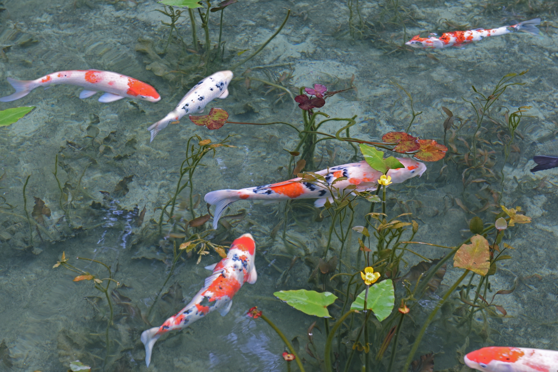 「永住したい」と思う岐阜県の街ランキング！　2位は「岐阜市」、1位は？ | 岐阜県 ねとらぼリサーチ