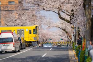【女性が選ぶ】永住したい「西武新宿線沿いの街」ランキングTOP29！　第1位は「花小金井」【2023年最新投票結果】