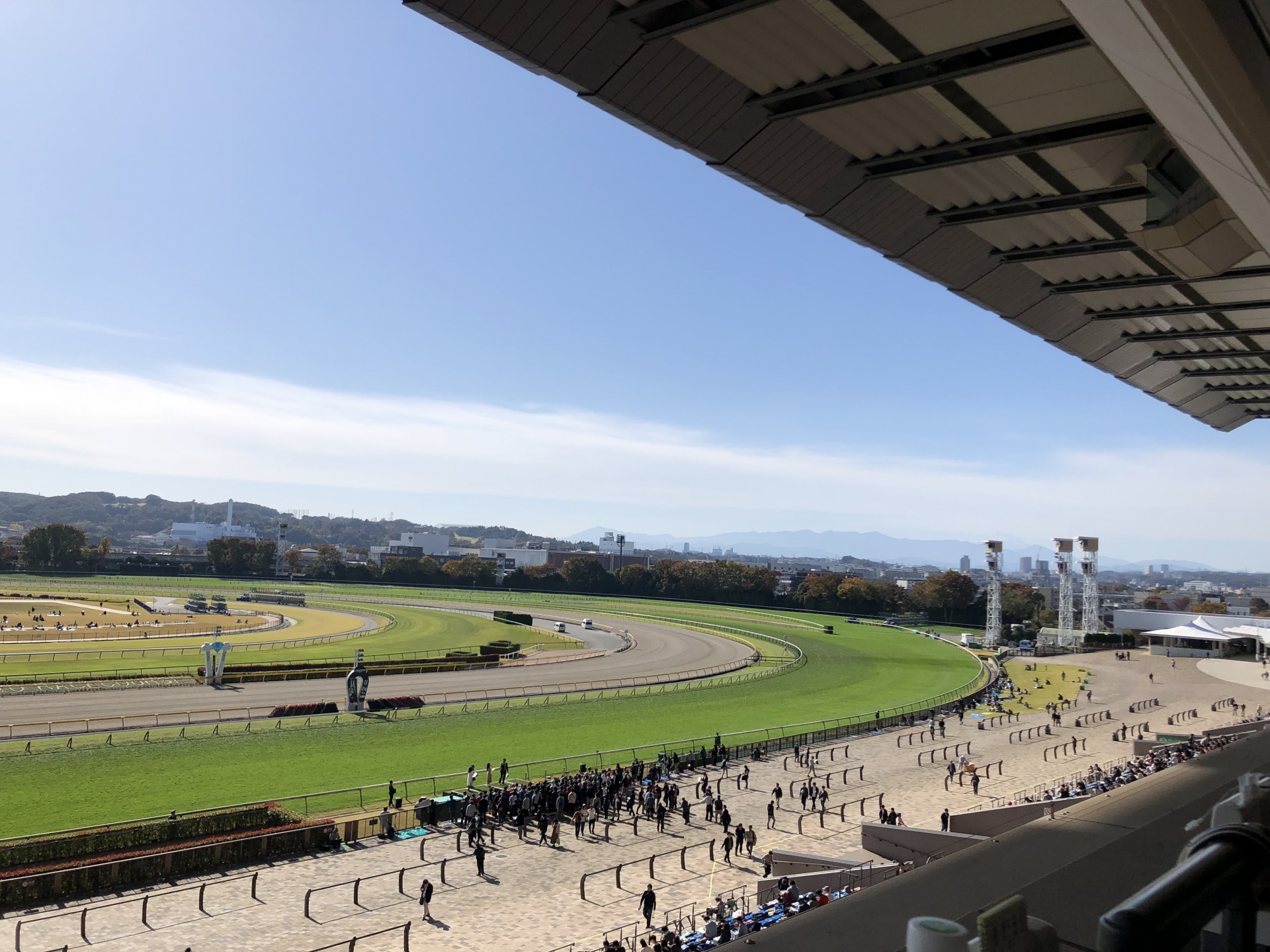 【競馬】あなたが行ってみたい「競馬場」はどこ？【人気投票実施中】 | スポーツ ねとらぼ調査隊