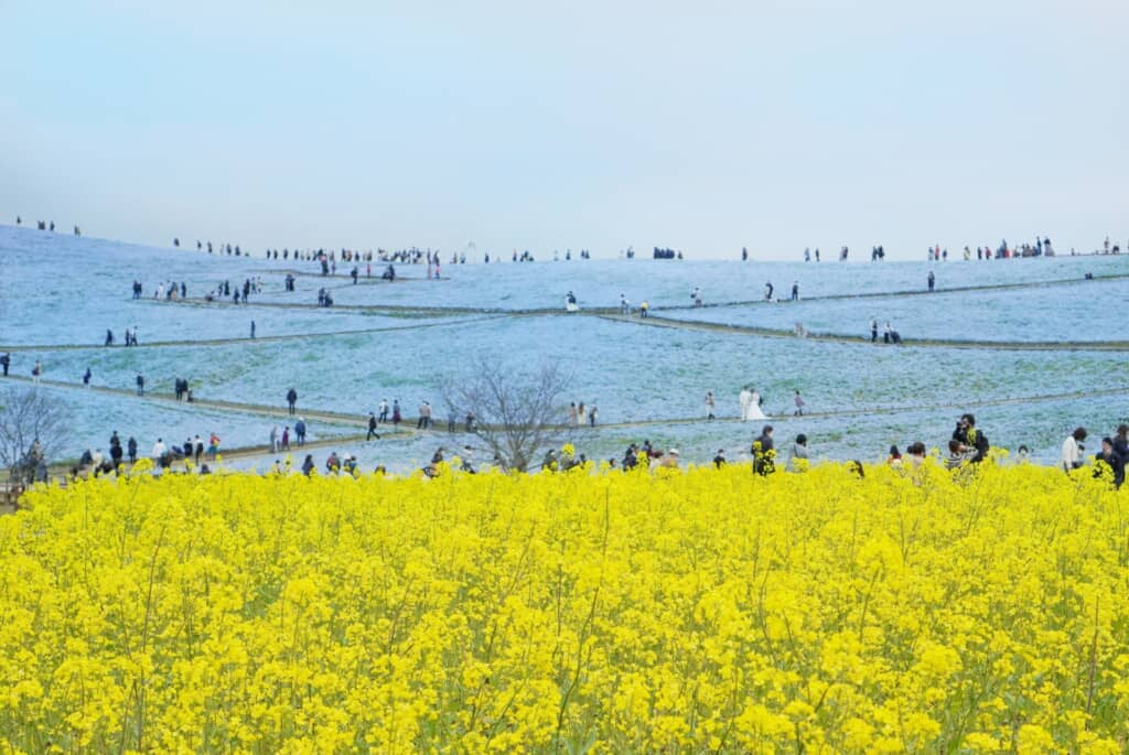 「自分の教育についてもっと調べてみたいと思います」
