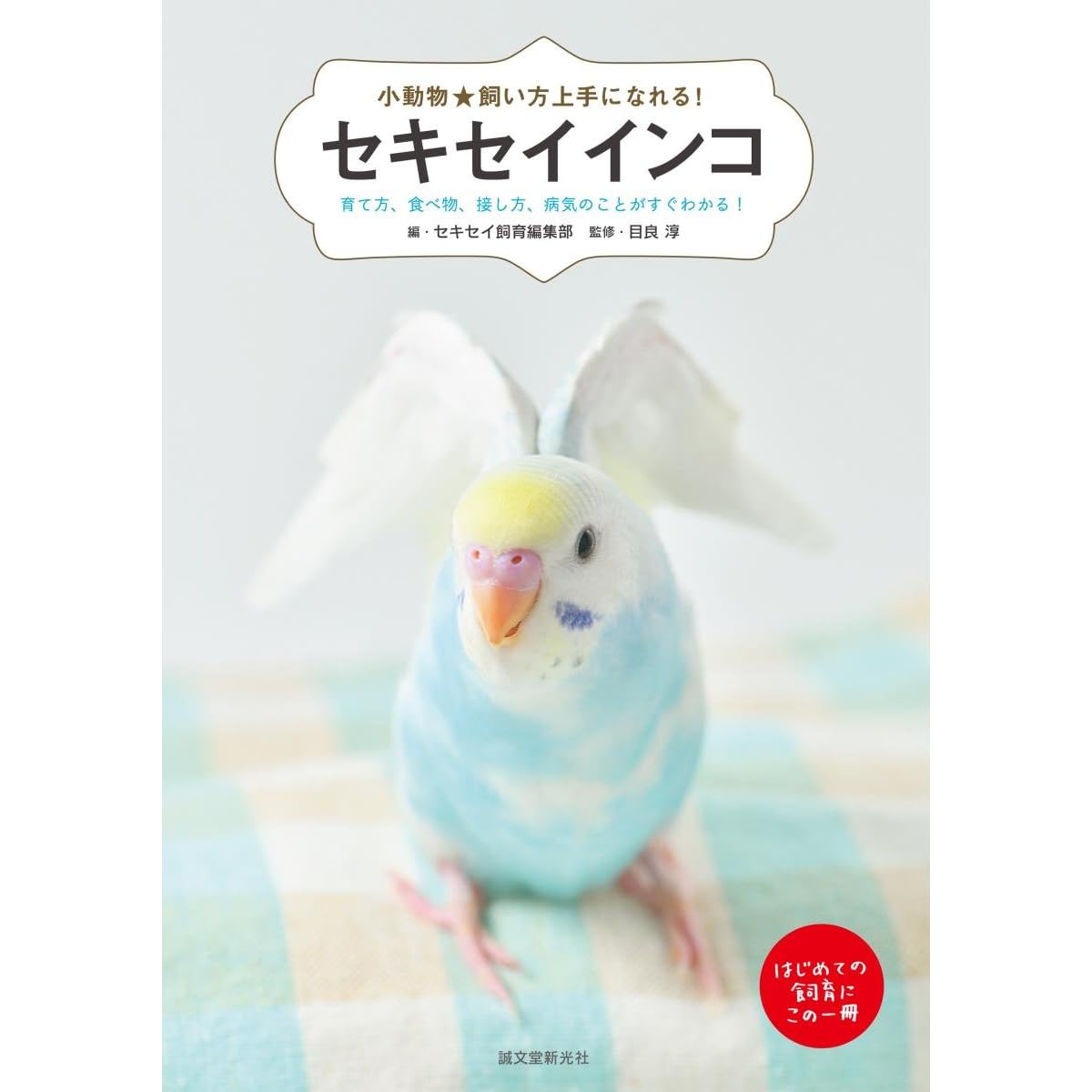 オファー ペットカメラ 鳥 ランキング