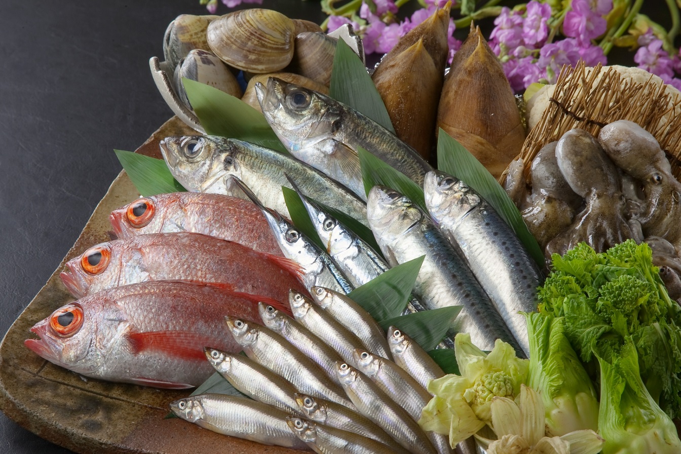 東日本で「魚がおいしい」と思う地域はどこ？　3つのエリアを紹介！ | グルメ ねとらぼリサーチ