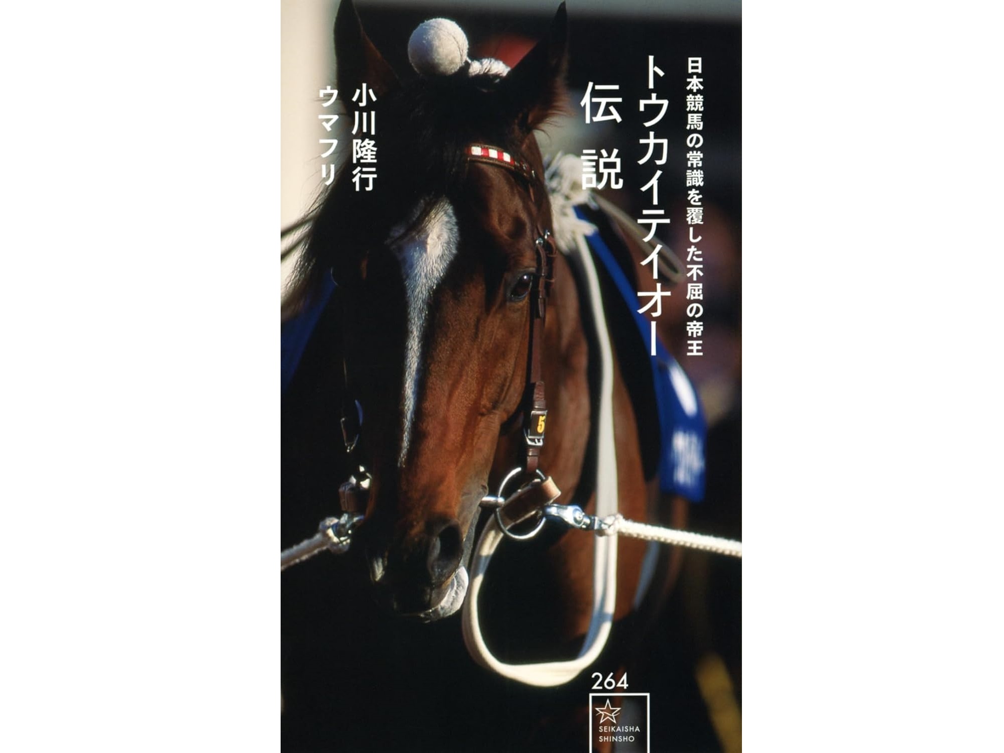 40代男性が選ぶ】平成の歴代「有馬記念優勝馬」人気ランキングTOP27！ 第1位は「トウカイテイオー」【2023年最新投票結果】（1/6） |  スポーツ ねとらぼリサーチ