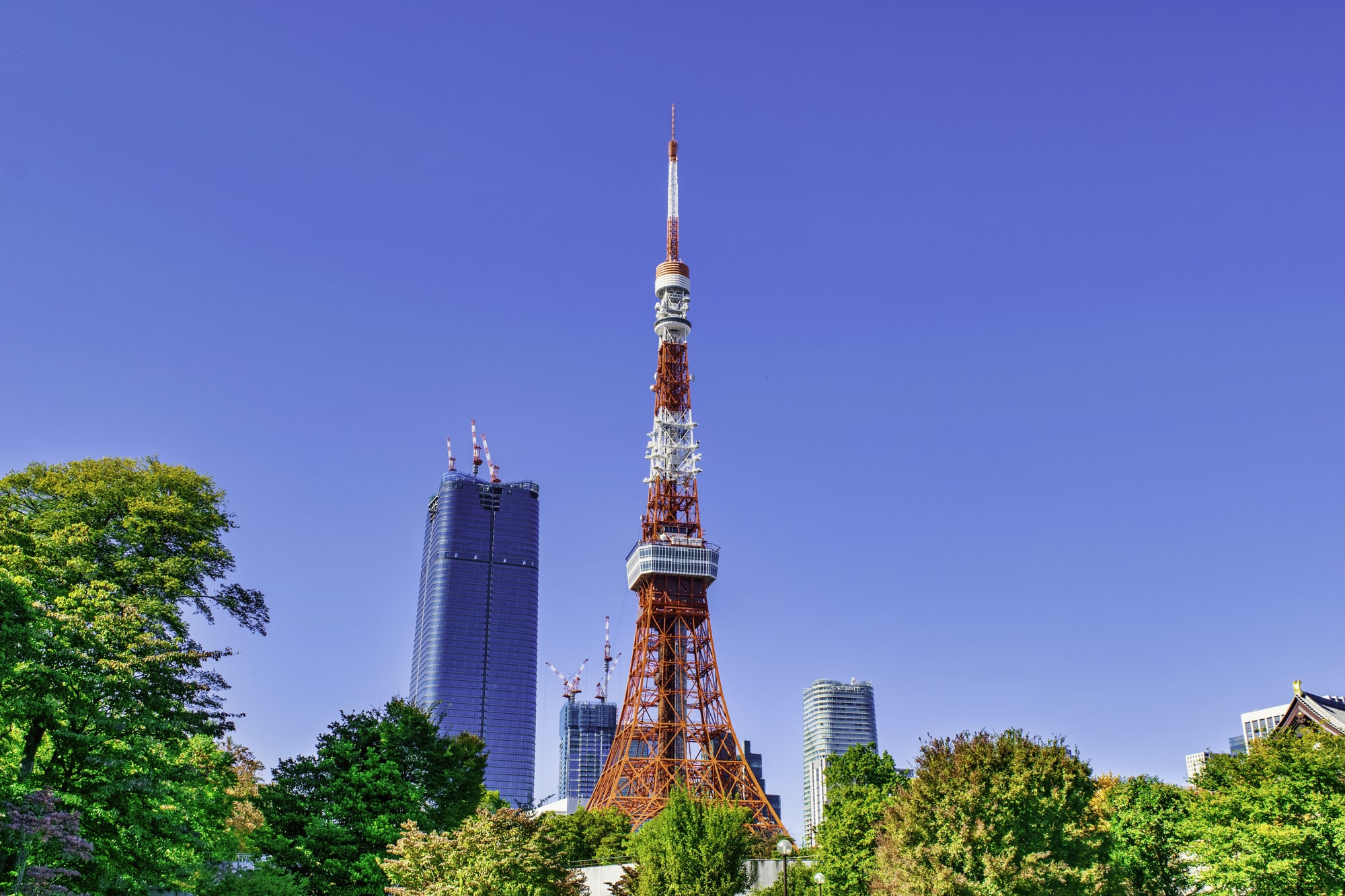 永住したい「東京都の街」は？　3つを紹介！ | 住まい ねとらぼリサーチ