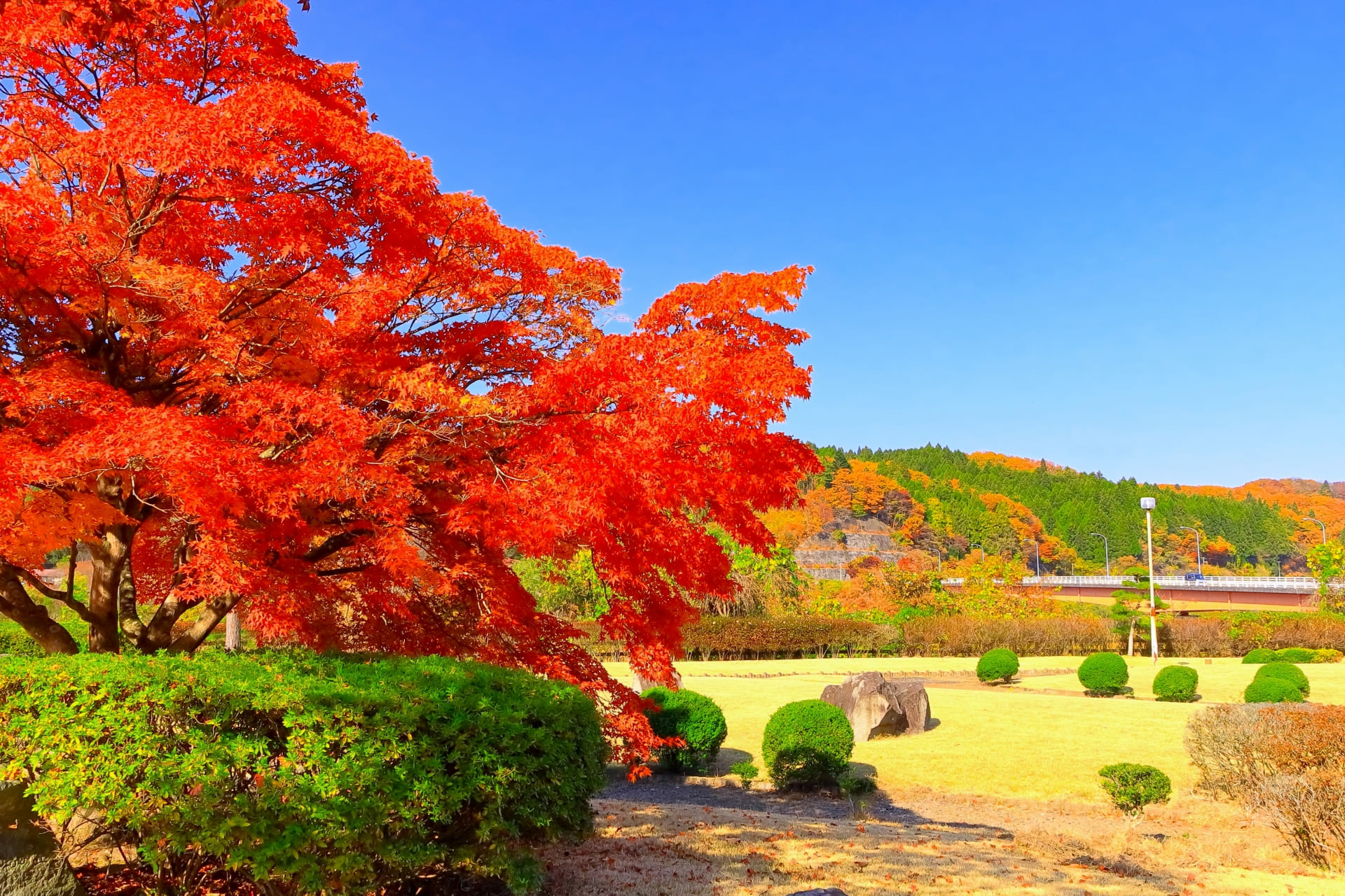 「紅葉狩り」に行きたい都道府県は？　3つのエリアを紹介！ | ライフ ねとらぼリサーチ