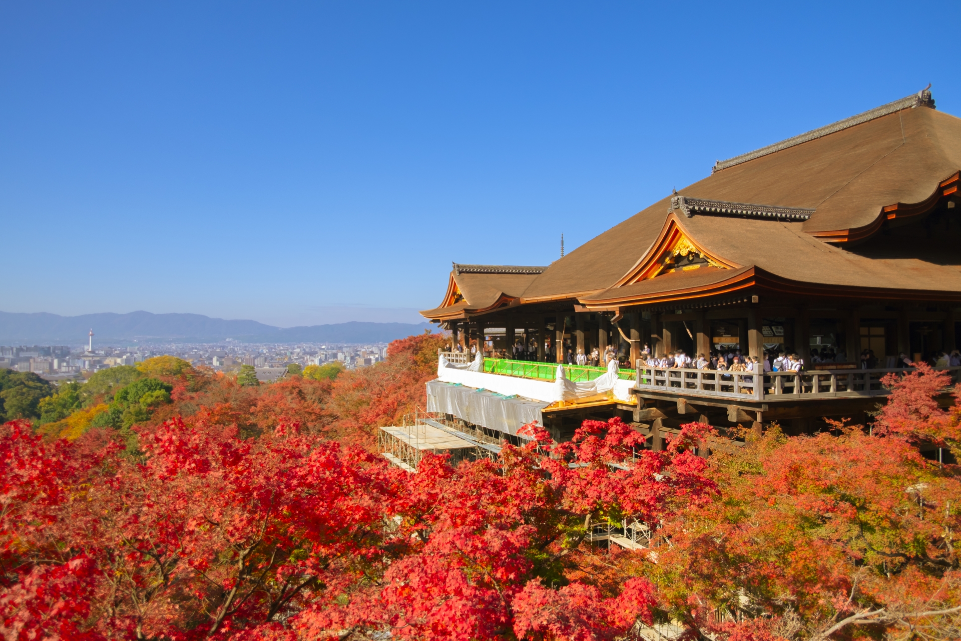 京都府のライバルだと思う都道府県は？　3都府県を紹介！ | ライフ ねとらぼリサーチ