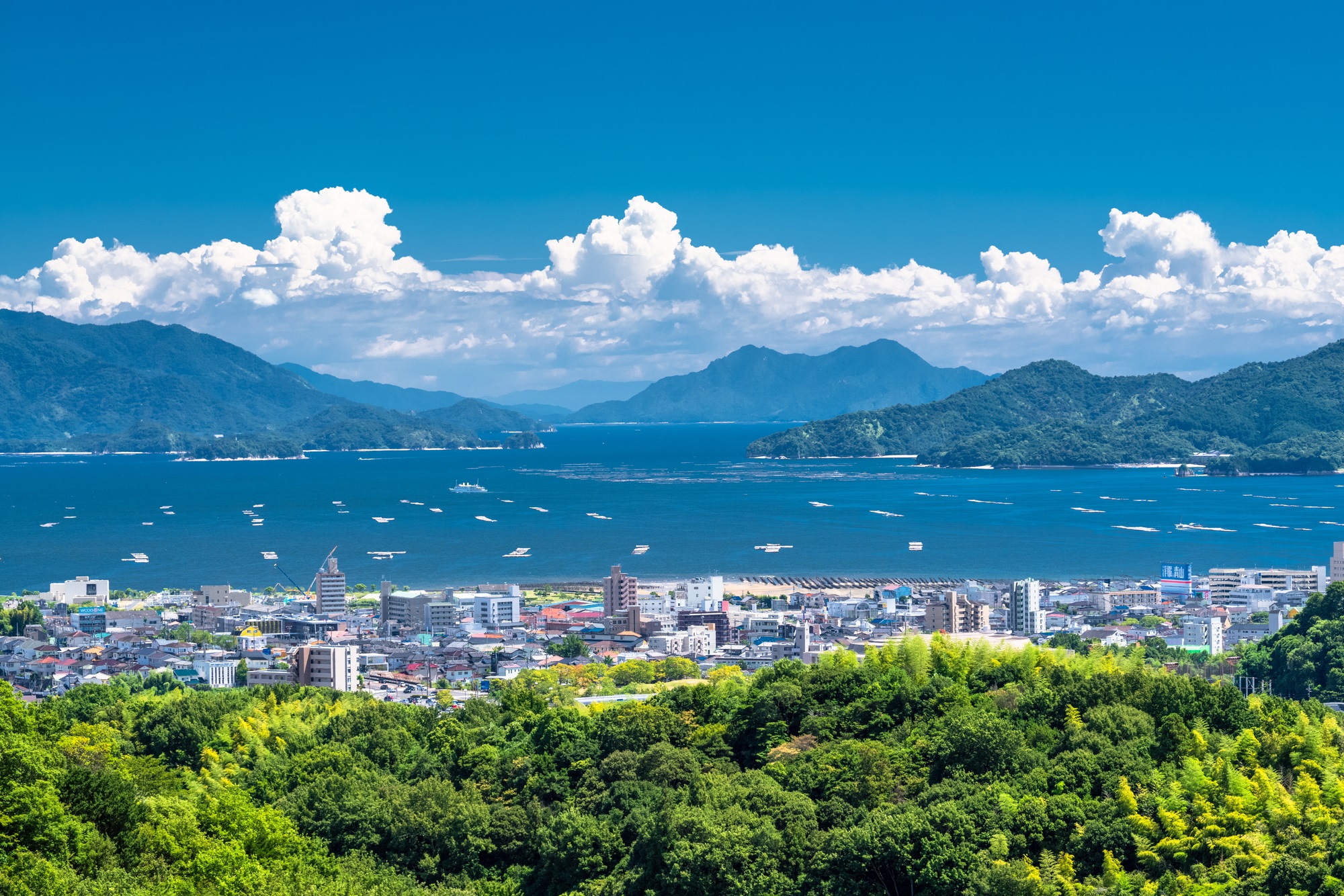 広島県で「地元民が本当に住みやすいと思う市区町」ランキングTOP30