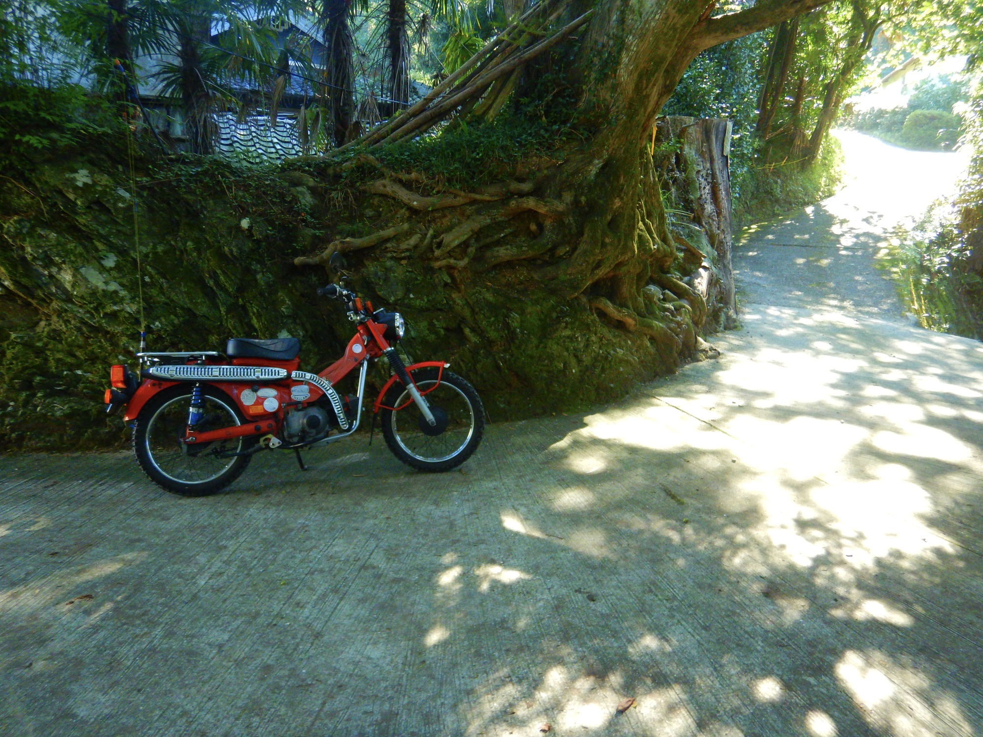 発売3年以内】「燃費が良すぎるバイク」注目度ランキングTOP30！ 1位は