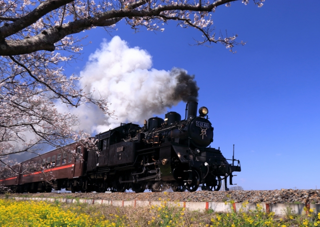 真岡鐵道のSL C1266