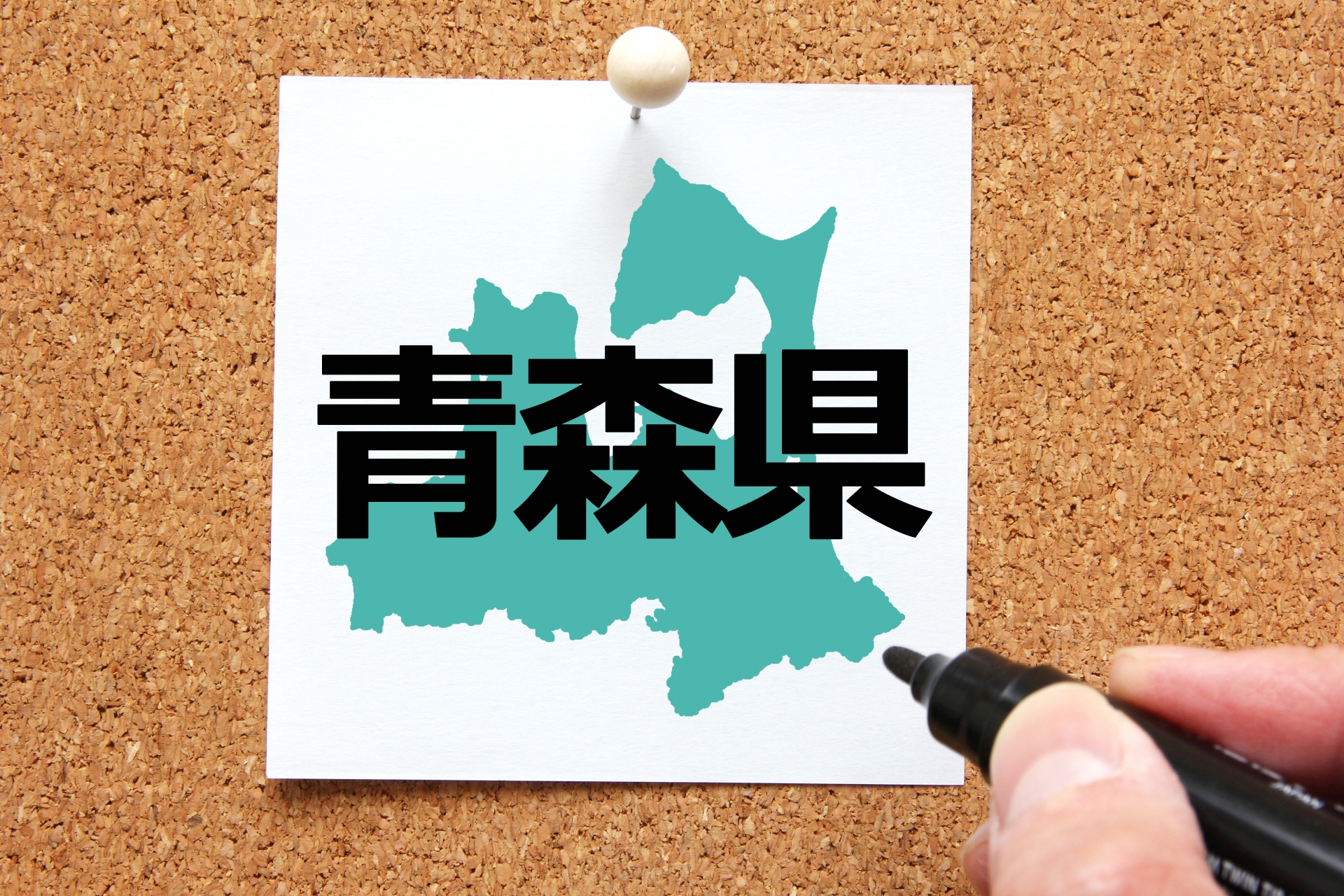 1990年代〜2000年代前半発行の青森県内市町村の要覧、観光案内など約170点 f24020002〇復刻 青森県管内全図 日本地図選集 明治27年 大