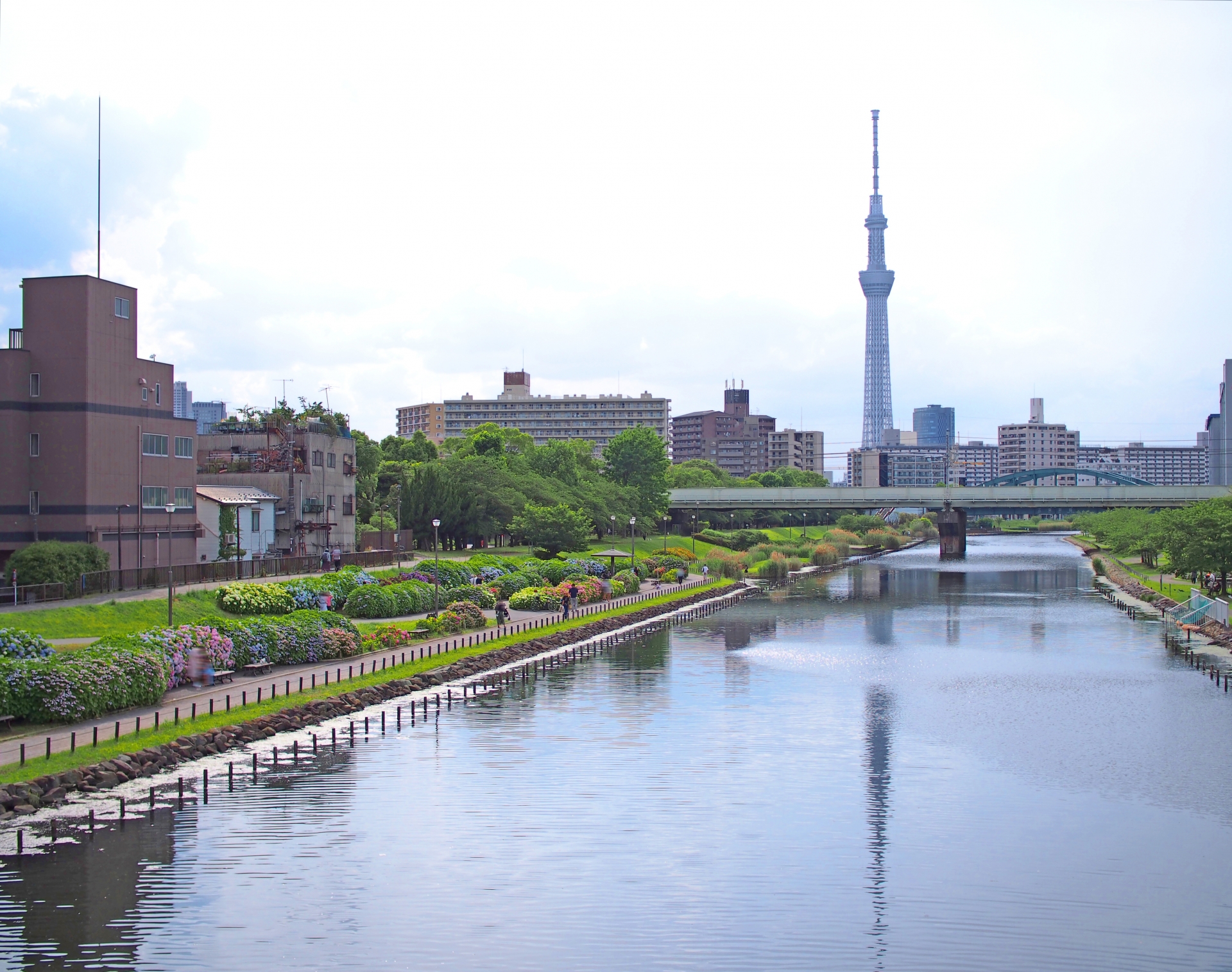 東京都23区で一番穴場の観光スポットがある区は？　3つの自治体を紹介 | 東京都 ねとらぼリサーチ