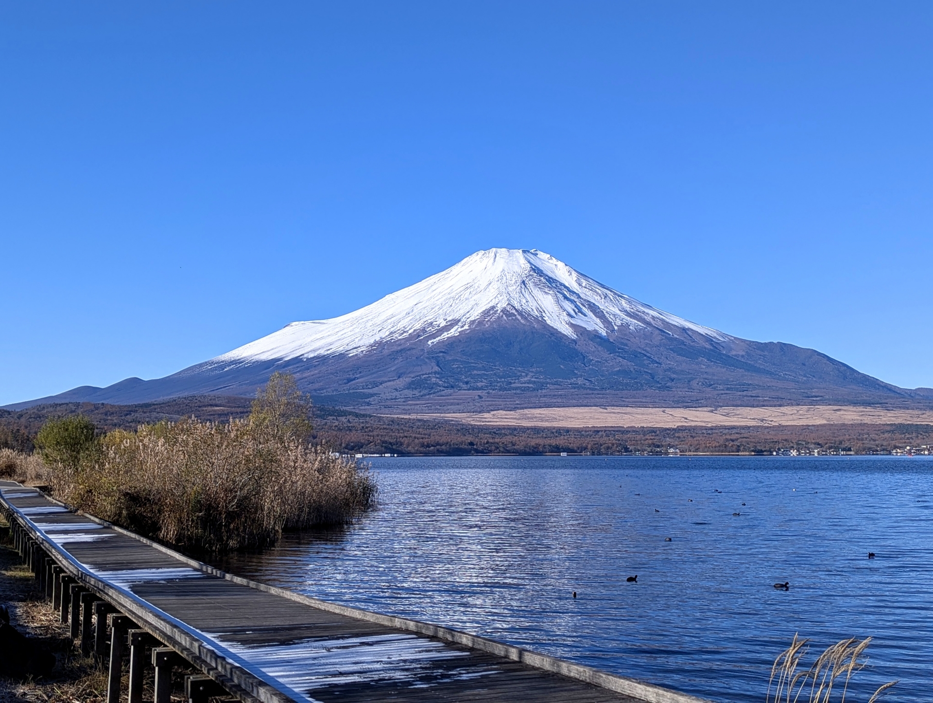 「富士山」がきれいに見えると思う都道府県は？　3つの県を紹介 | ライフ ねとらぼリサーチ