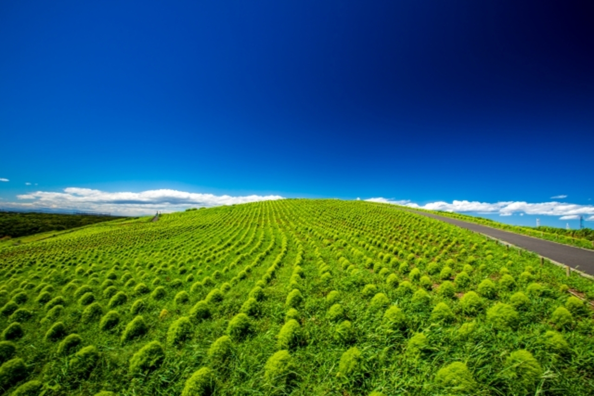 永住したいと思う「茨城県の街」は？　3つの市を紹介！ | 茨城県 ねとらぼリサーチ