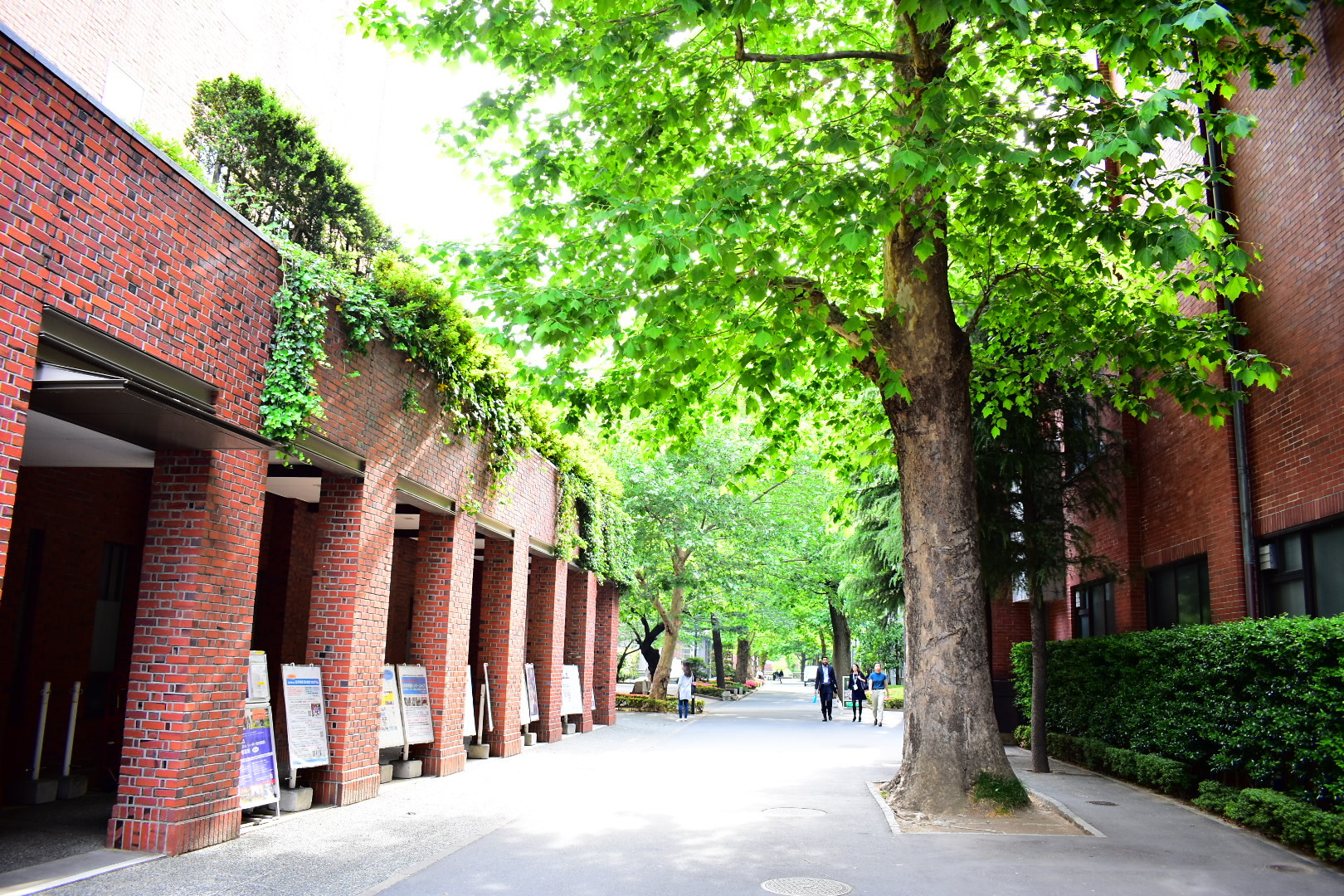 画像が削除されました