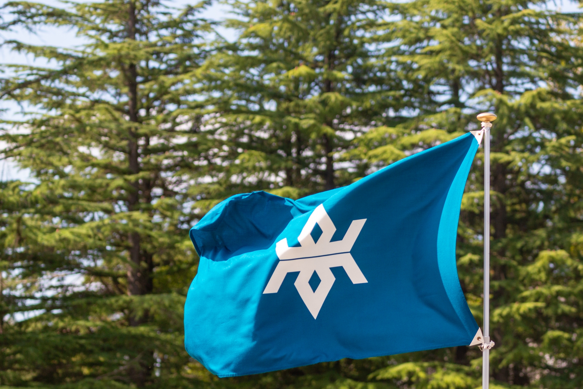 二番目に有名だと思う「岩手県の市町村」は？　3つの市を紹介！ | 岩手県 ねとらぼリサーチ