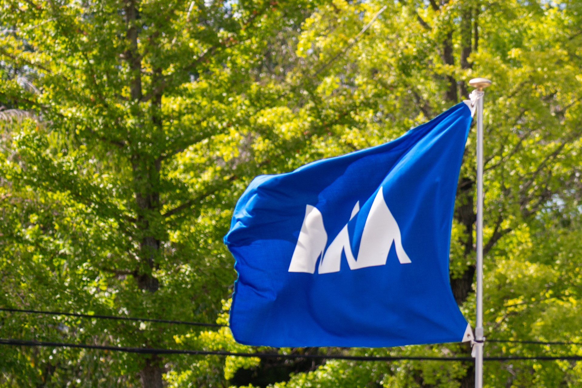 山形県で「一番有名だと思う市町村」はどこ？　3つの市を紹介！ | 山形県 ねとらぼリサーチ