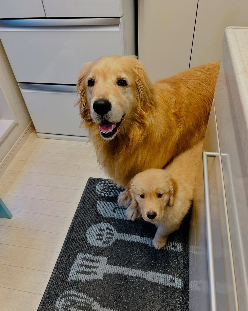 そっとのぞくふたり