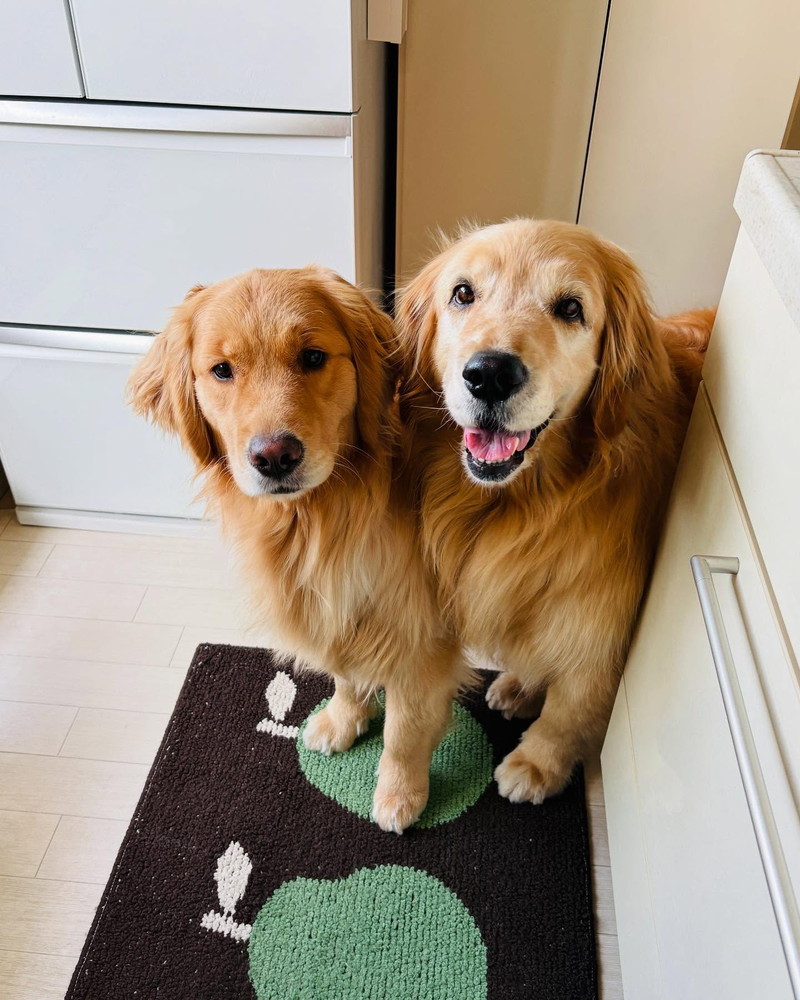 大きくなったね！