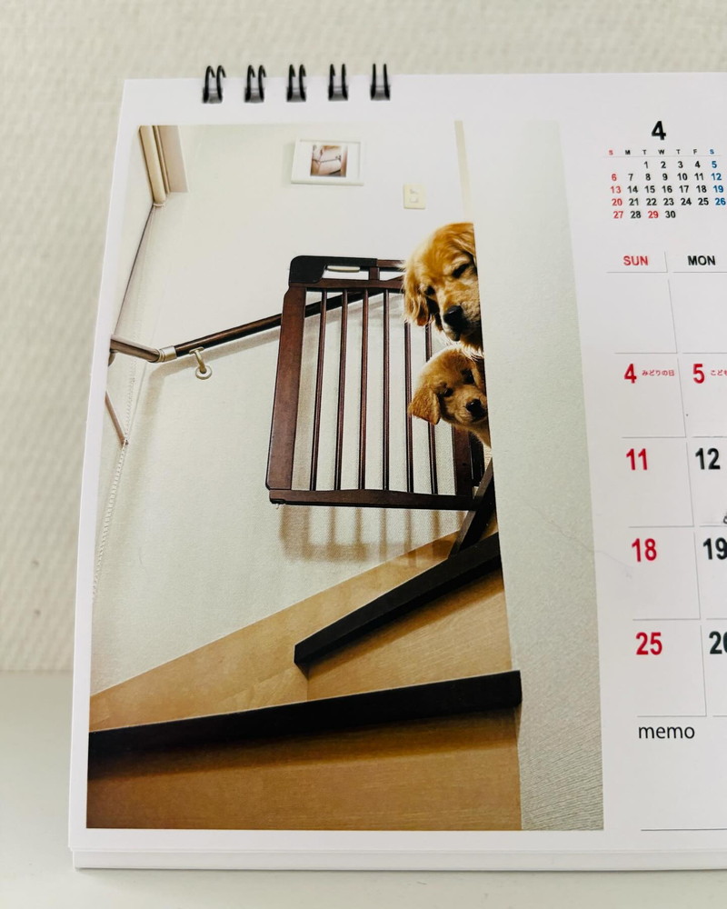 階段の上からのぞく様子は変わらず