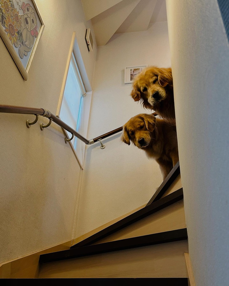 成長がよくわかりますね