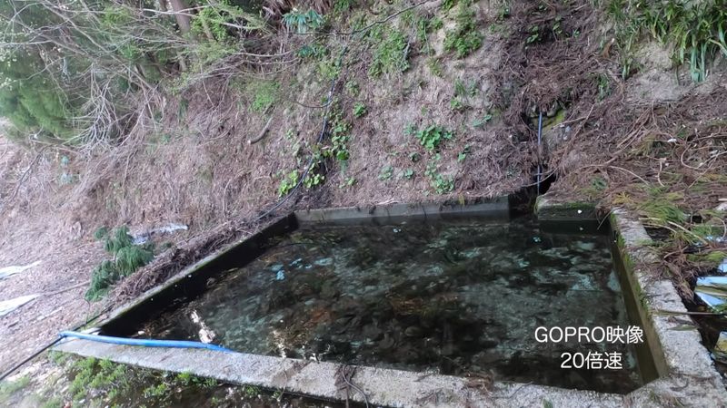 大量の水をポンプで排水する様子