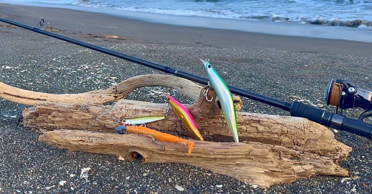 波打ち際で釣りをしていたら……「逃がすものか！」　姿を現した“王様”に興奮「羨ましすぎます」「これはまさかですね」（1/2） | その他生き物 ねとらぼ