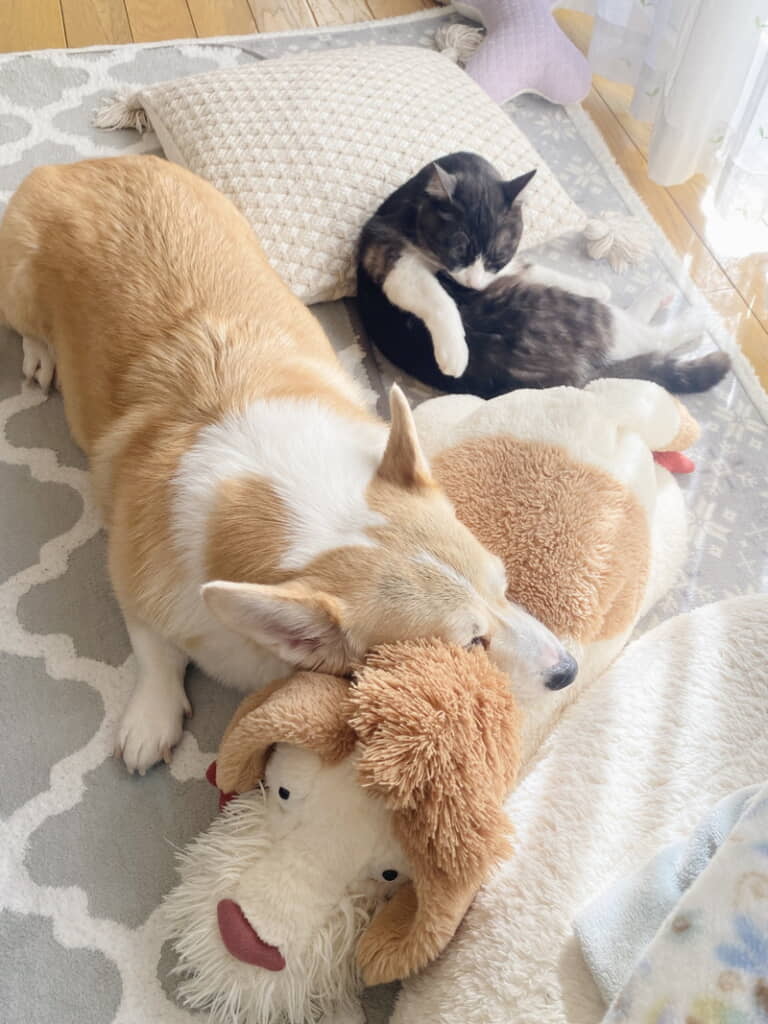 一緒にくつろぎの時間を