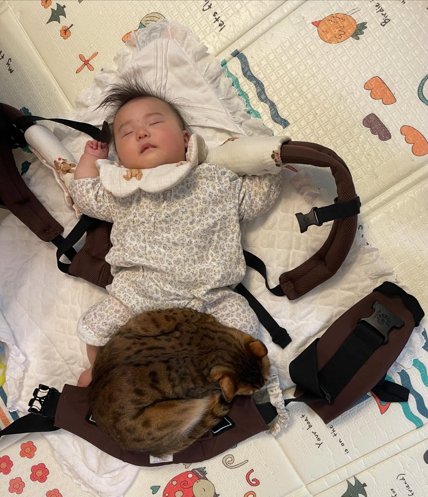 猫と赤ちゃんが寄り添う姿