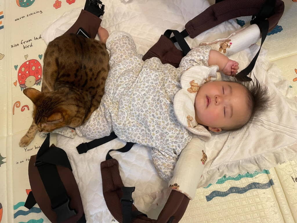 寄り添う猫と赤ちゃん