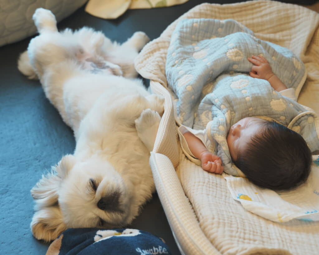 赤ちゃんの隣で寝るワンコ