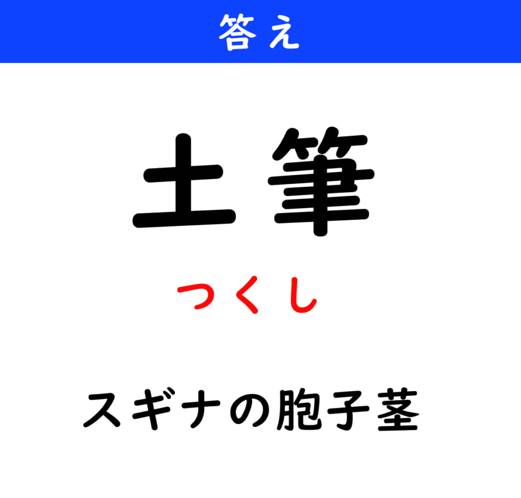 つくし