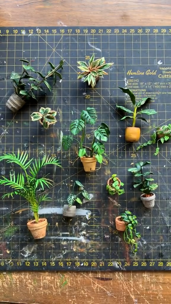 観葉植物いっぱい