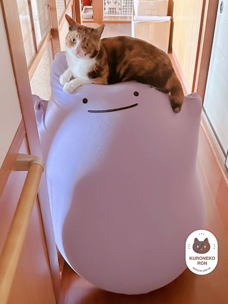 メタモンと一緒
