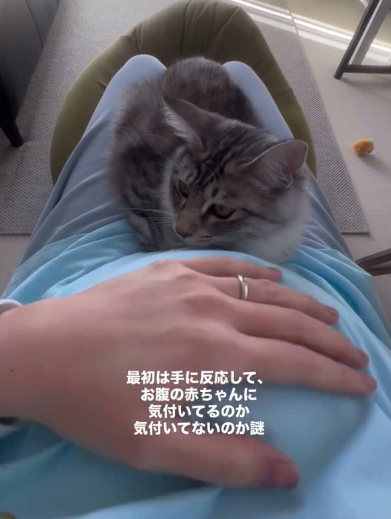 気のせいだったのかな？