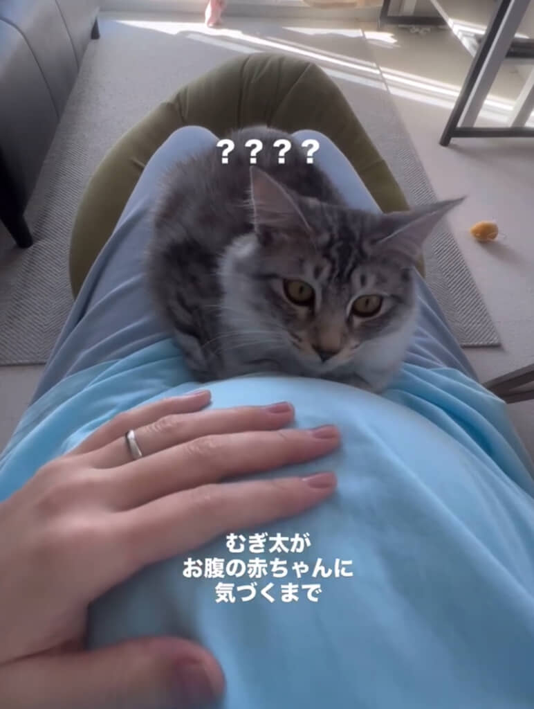 何かに気付いた様子のむぎ太くん