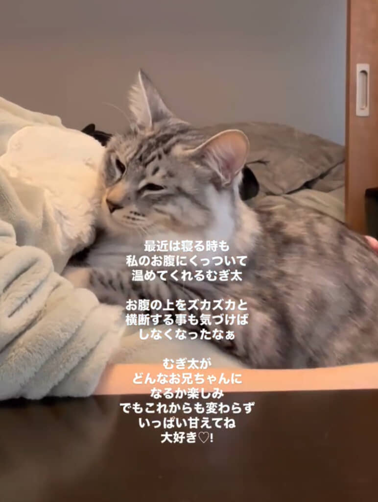 ママさんと赤ちゃん思いのむぎ太くん